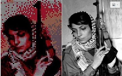 猛虎组织的女主播